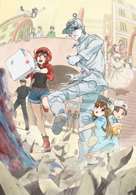 Cells at Work! anime cover