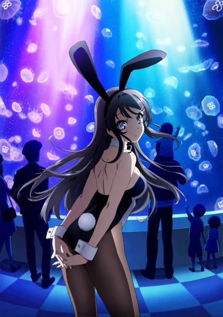 Rascal Does Not Dream of Bunny Girl Senpai anime cover