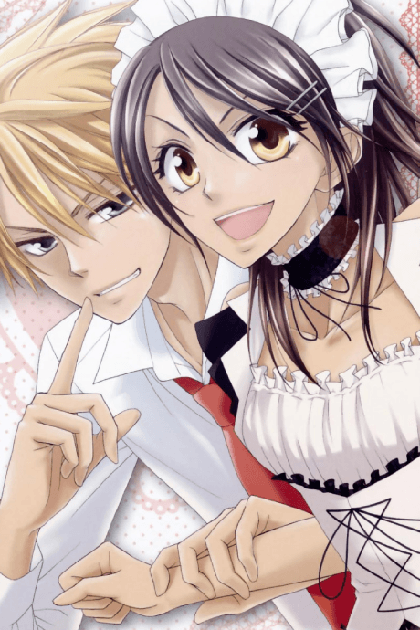 Maid-Sama! anime cover