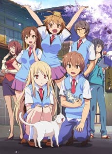 The Pet Girl of Sakurasou anime cover