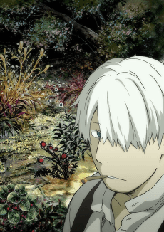 MUSHI-SHI anime cover