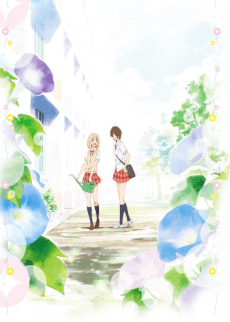 Your Light: Kase-san and Morning Glories anime cover