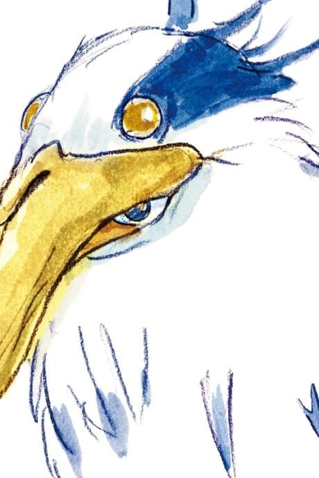 The Boy and the Heron anime cover