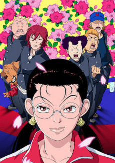 The Gokusen anime cover
