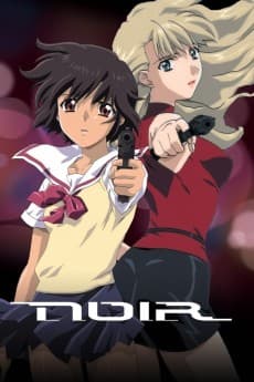 Noir anime cover